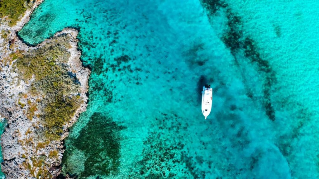 Conheça a Pig Beach, a ilha nas Bahamas governada por porcos nadadores