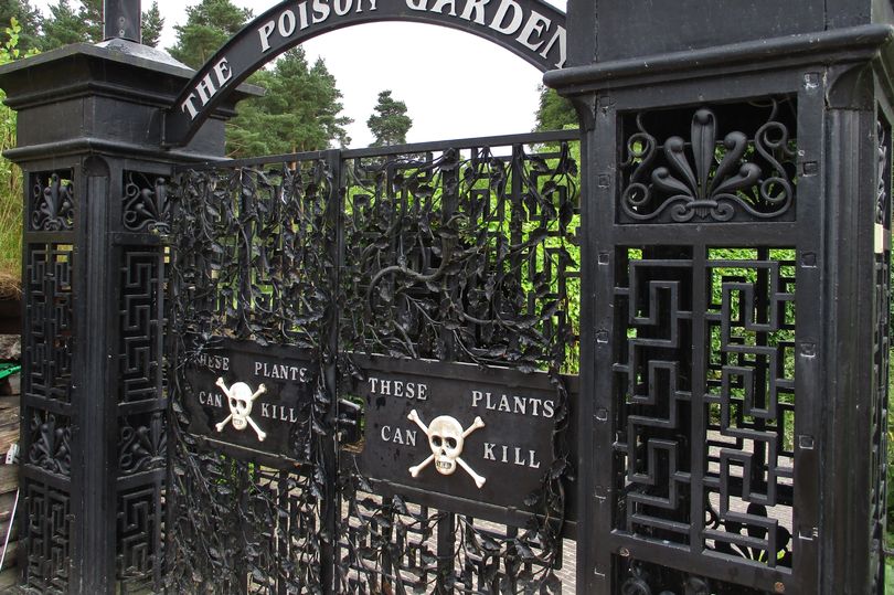 Jardim é apelidado de 'mais mortal do mundo' - onde todas as plantas podem matá-lo