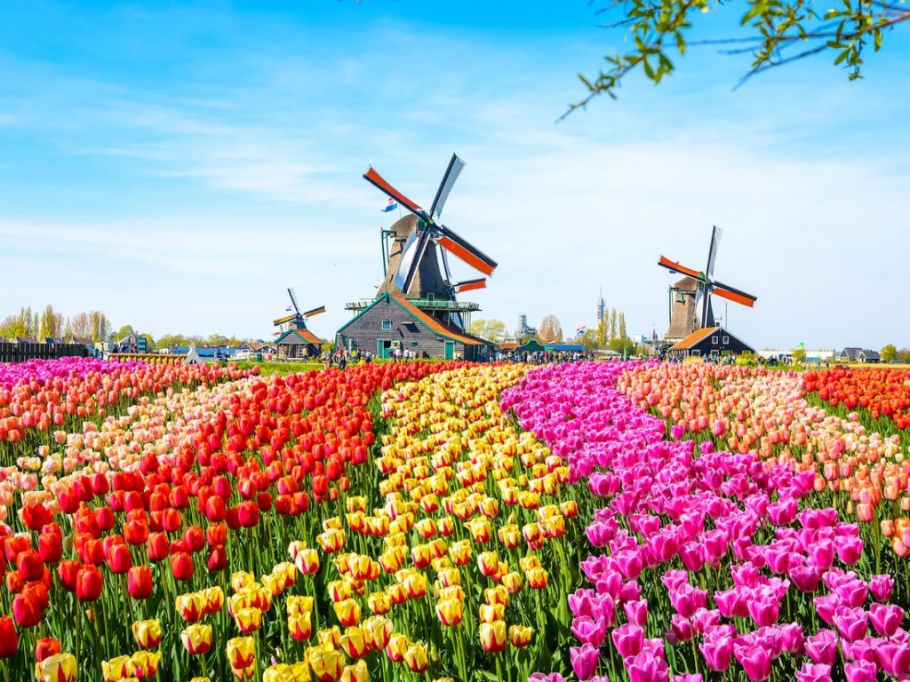 A real utilidade dos moinhos de vento na Holanda