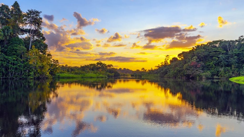 A floresta amazônica produz 20% do oxigênio do mundo?
