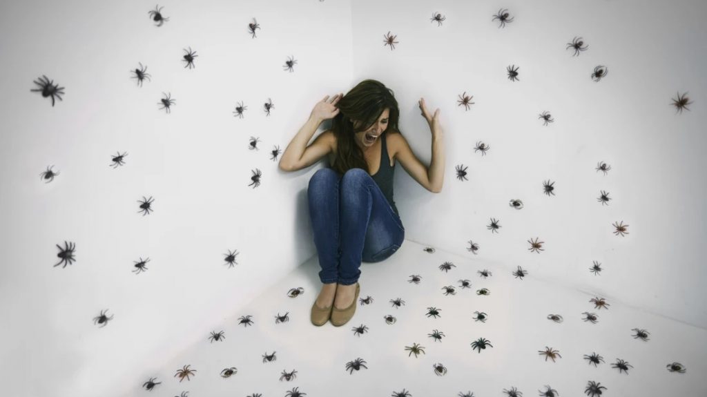 Por que os humanos têm medo de insetos?