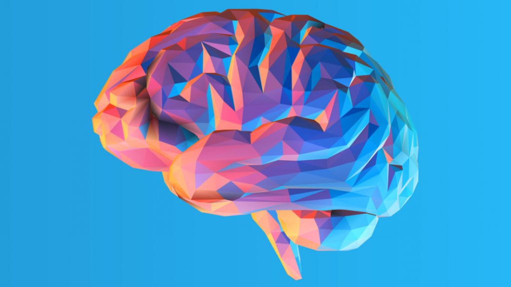 É verdade que usamos apenas 10% de nosso cérebro?