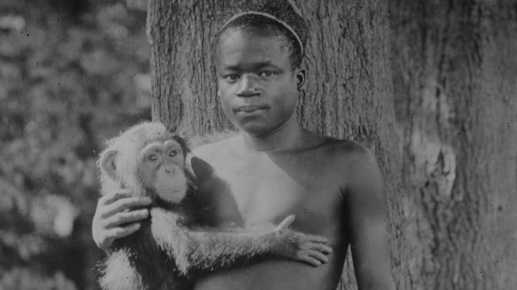 Em 1906 Zoológico de NY exibia um homem negro