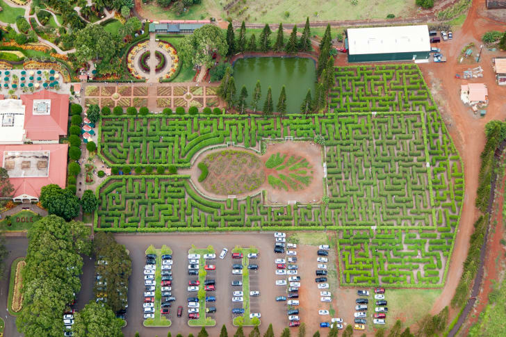 9 dos labirintos mais legais do mundo que você pode visitar