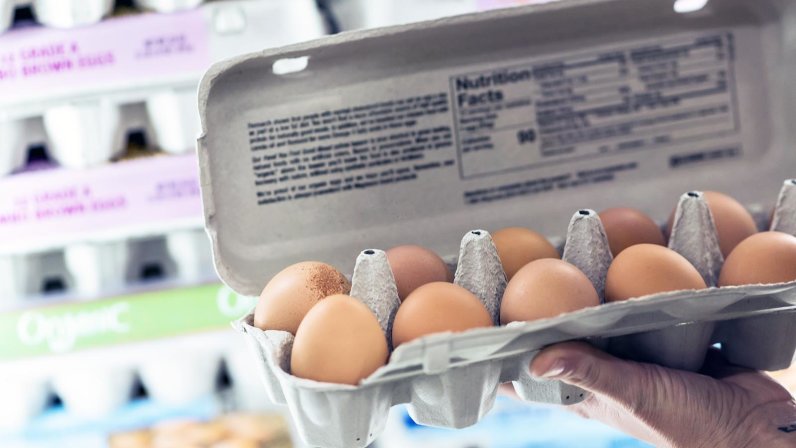 Como saber se os ovos estão frescos