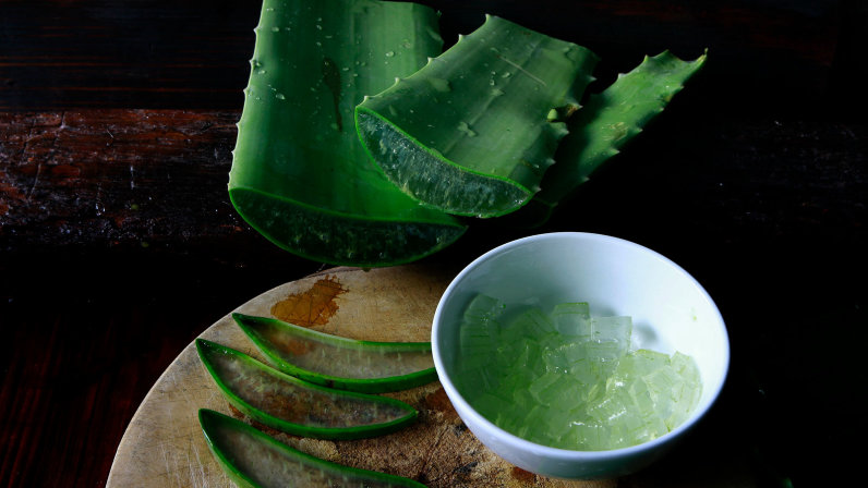 40 usos incríveis para Aloe Vera (babosa)