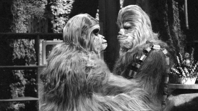 Chewbacca e o Pé Grande são parentes?