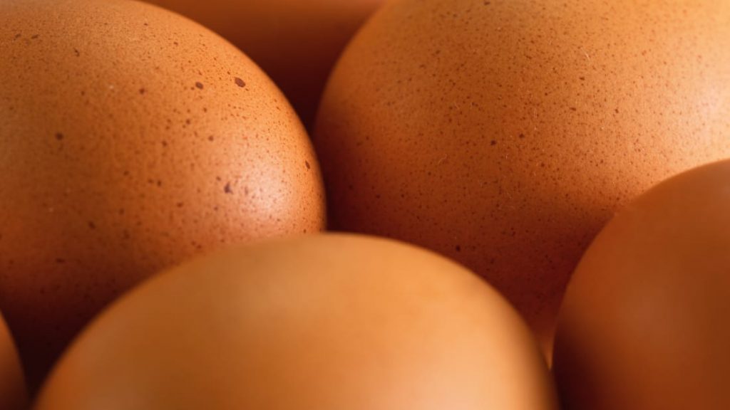 Por que as cascas de ovo apresentam manchas estranhas?