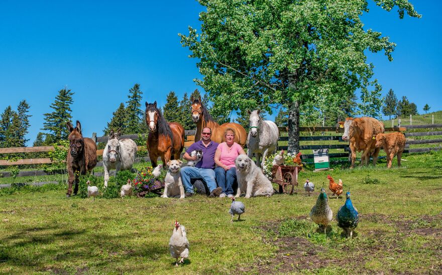 Fotógrafa cria um projeto para tirar fotos de famílias e seus animais