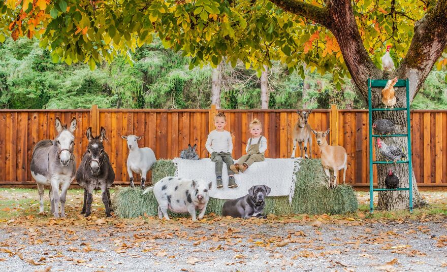 Fotógrafa cria um projeto para tirar fotos de famílias e seus animais