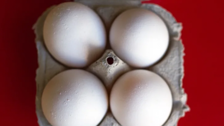 Por que as cascas de ovo apresentam manchas estranhas?