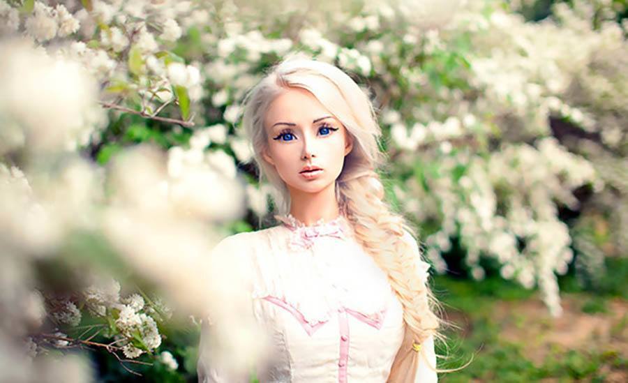 Barbie, Ken