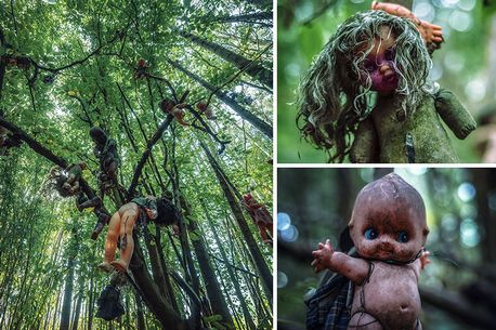 A perturbadora "floresta de bonecas" da Alemanha