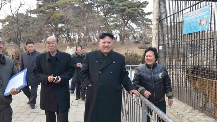 Por dentro do zoológico selvagem da Coréia do Norte: com chimpanzé fumante e papagaio que elogia Kim Il-sung