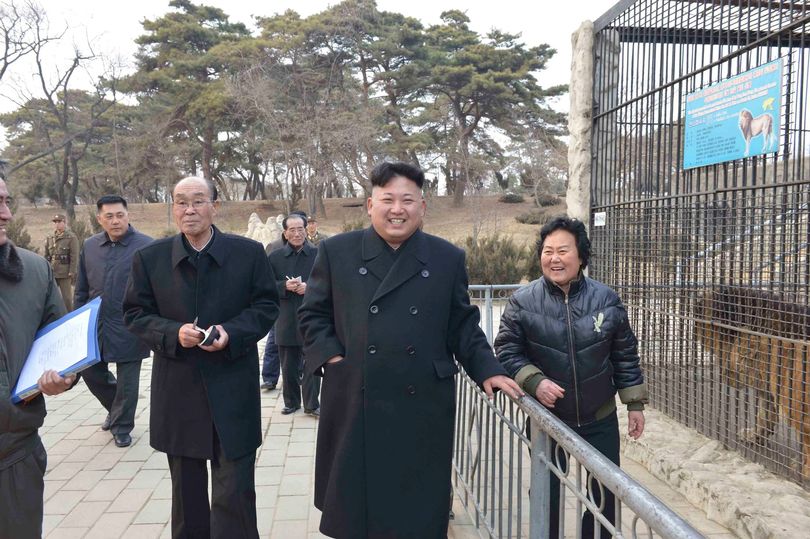 Por dentro do zoológico selvagem da Coréia do Norte: com chimpanzé fumante e papagaio que elogia Kim Il-sung
