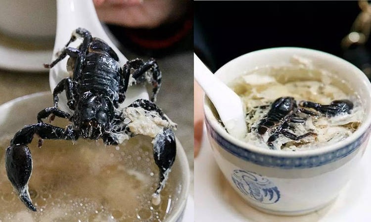Sopa de cobra e escorpião – Um prato que faz você suar de medo