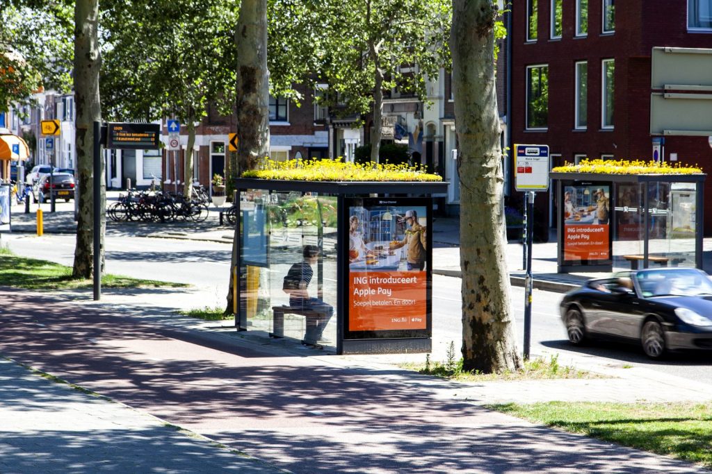Cidade holandesa está transformando pontos de ônibus em santuários de abelhas